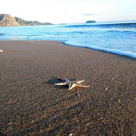 Delfini 2 아파트호텔 3*