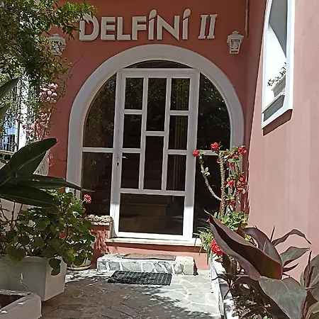 Delfini 2 3*